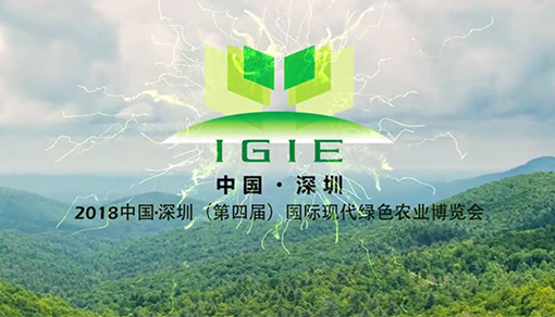 2018第四屆深圳博覽會(huì )現場(chǎng)紀實(shí)