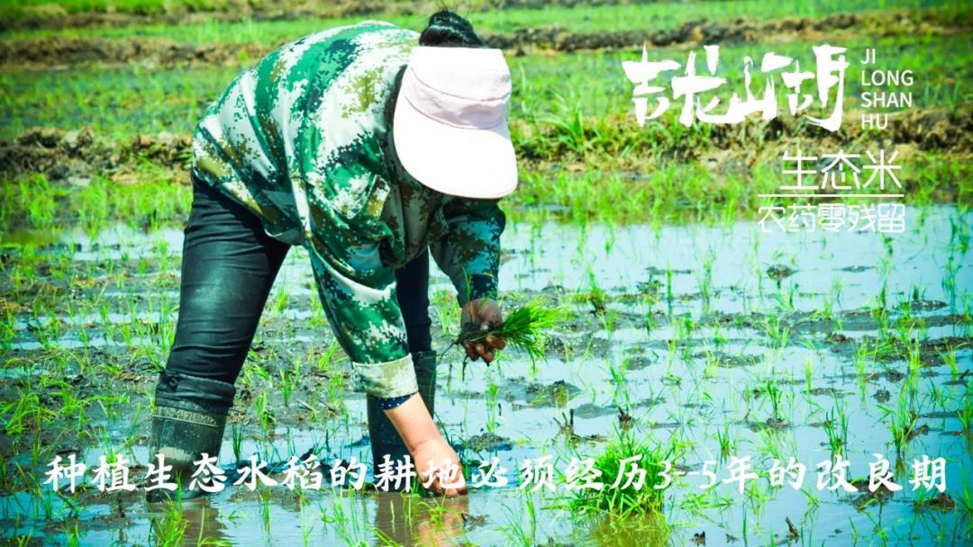 【展商風(fēng)采】第七屆“深圳綠博會(huì )”黑龍江美麗”麻山”展示不一樣的綠色食品 ！