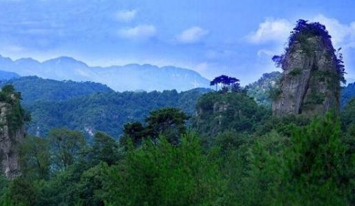 【展商風(fēng)采】來(lái)四川廣元品劍門(mén)關(guān)土雞，嘗高山露地好蔬菜巴適得很！