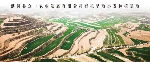 【展商風(fēng)采】健康為天，飲食為先，品質(zhì)出眾，始終如一