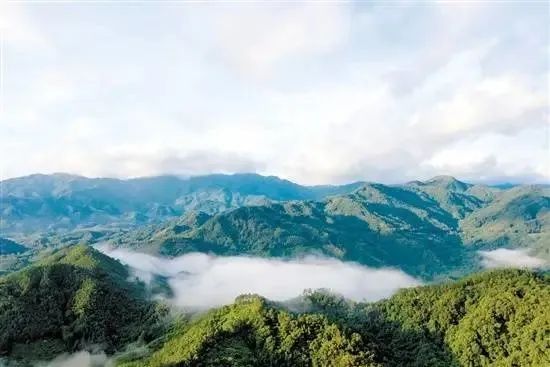 【展商風(fēng)采】水中鉆石·圖靈水寶成為第九屆綠博會(huì )論壇指定用水