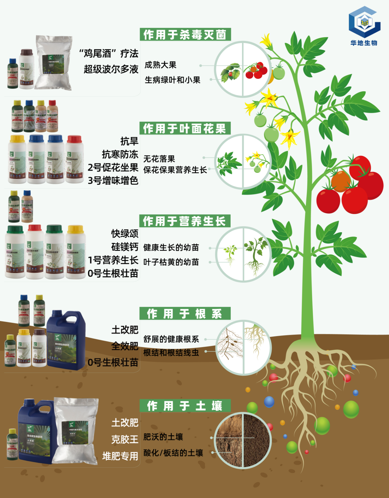 【展商風(fēng)采】服務(wù)中華大地，造福億萬(wàn)農民——華地微生物菌肥