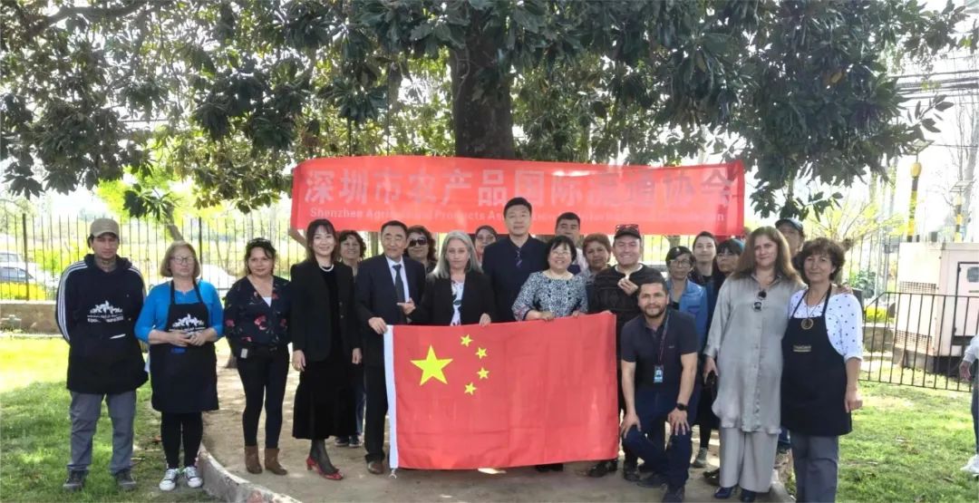【協(xié)會(huì )動(dòng)態(tài)】深圳市農產(chǎn)品國際流通協(xié)會(huì )副會(huì )長(cháng)張宇帶隊赴南美智利考察交流