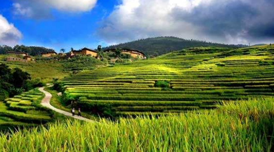 發(fā)展休閑農業(yè) 助力鄉村旅游