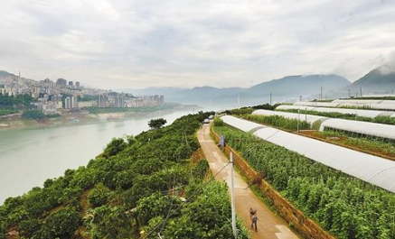 云陽(yáng)保護“一江四河” 筑牢綠色生態(tài)屏障